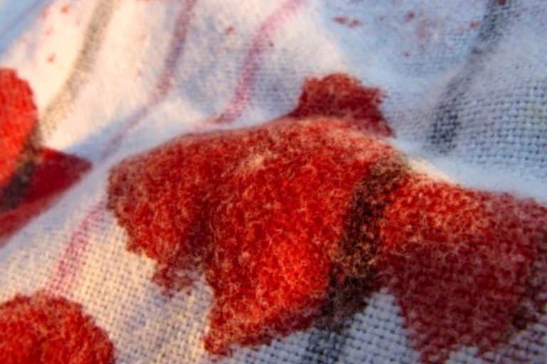 Enlever tache de sang sur tissu : 7 méthodes naturelles