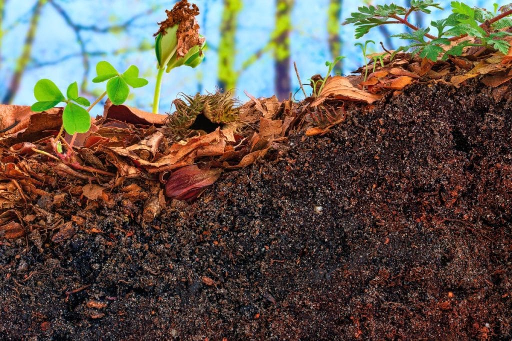 Densité terre végétale : 1,2 à 1,5 t/m³ + calculs