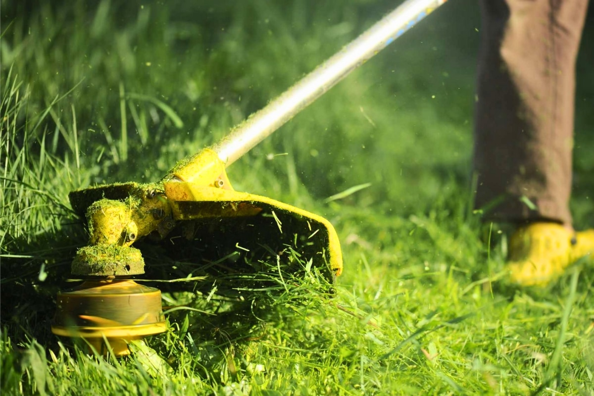 tondre-gazon Tondeuse à gazon